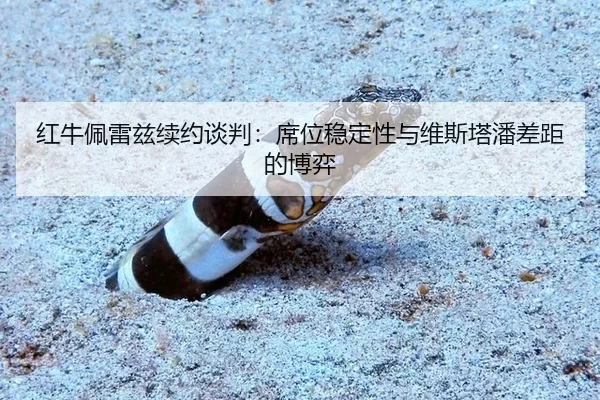 红牛佩雷兹续约谈判：席位稳定性与维斯塔潘差距的博弈