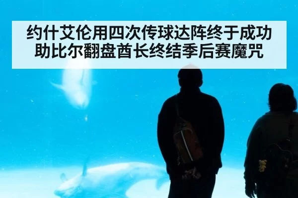 约什艾伦用四次传球达阵终于成功助比尔翻盘酋长终结季后赛魔咒